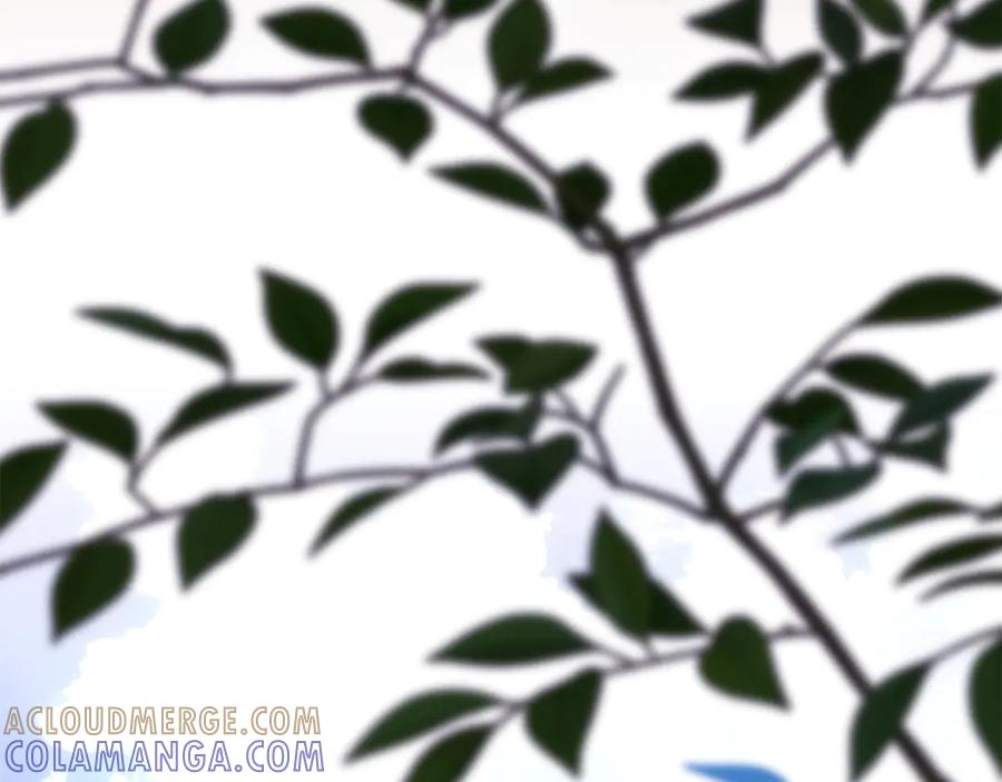 第237页