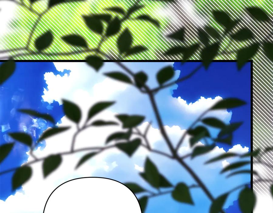 第254页