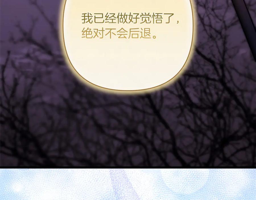 第238页