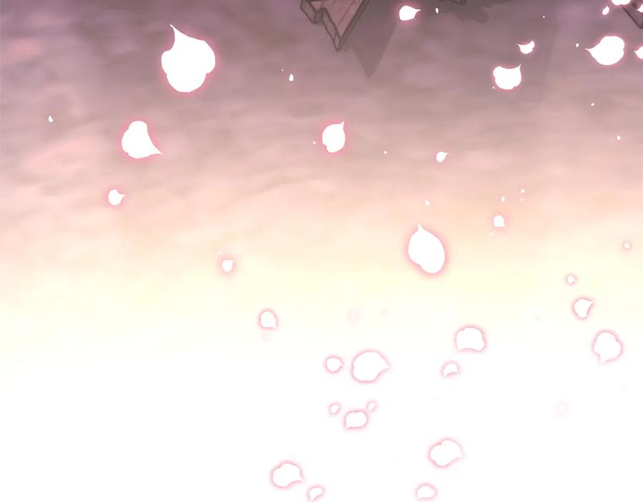 第335页