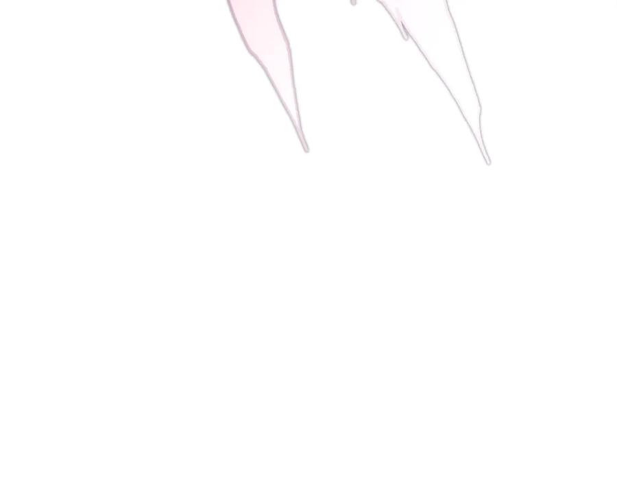 第446页