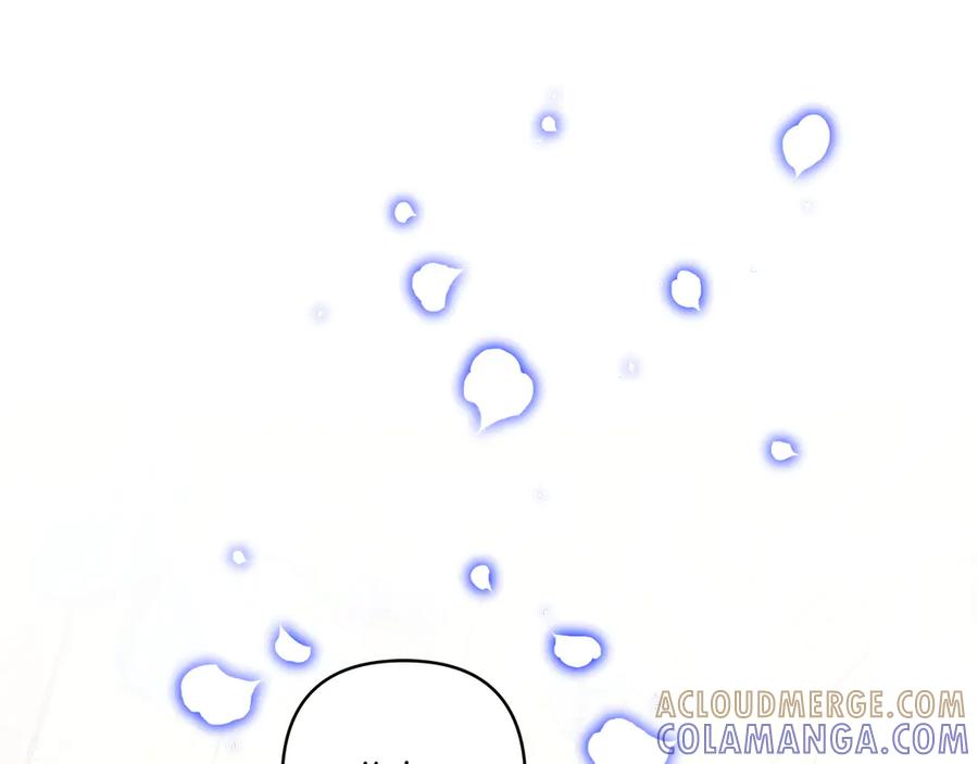 第505页