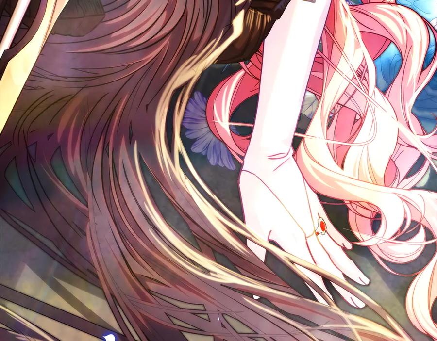 第511页