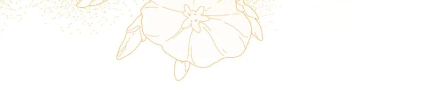 第279页