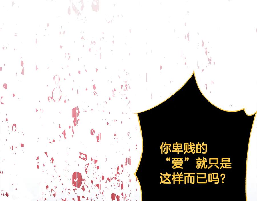 第223页