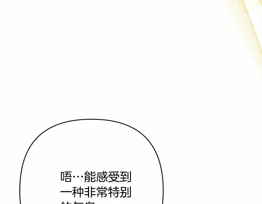 第258页