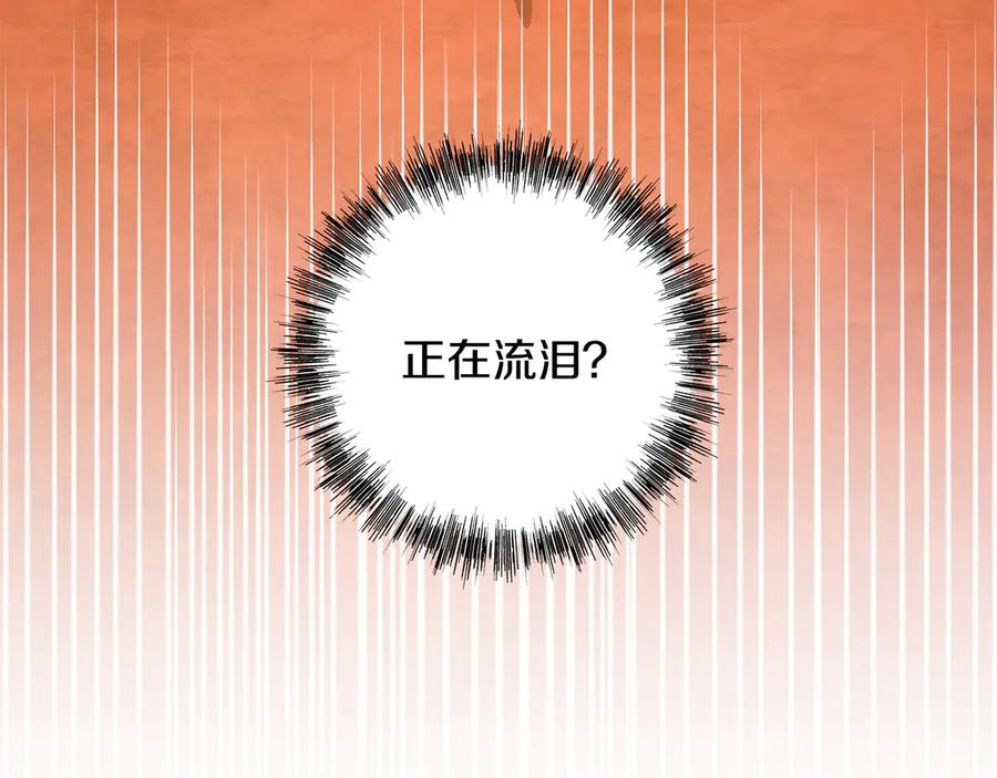 第236页