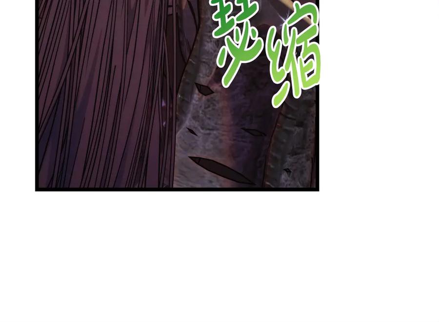 第255页