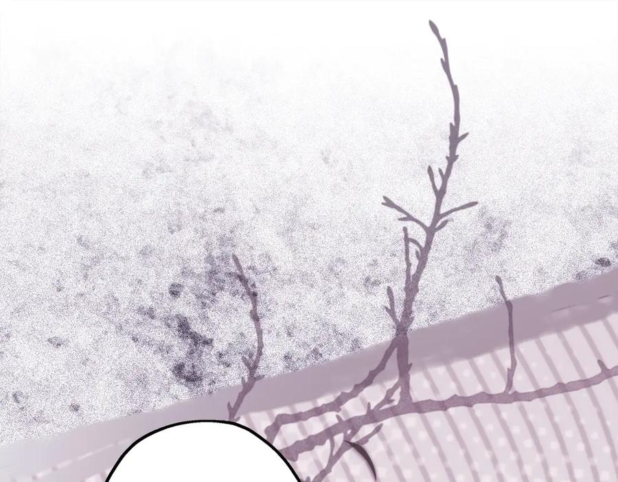 第256页