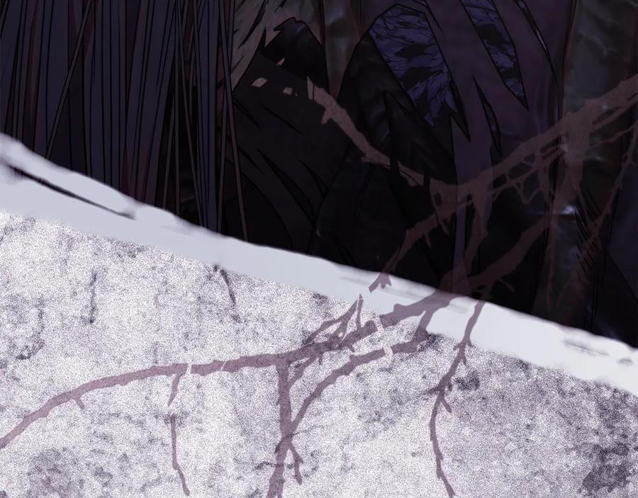 第259页