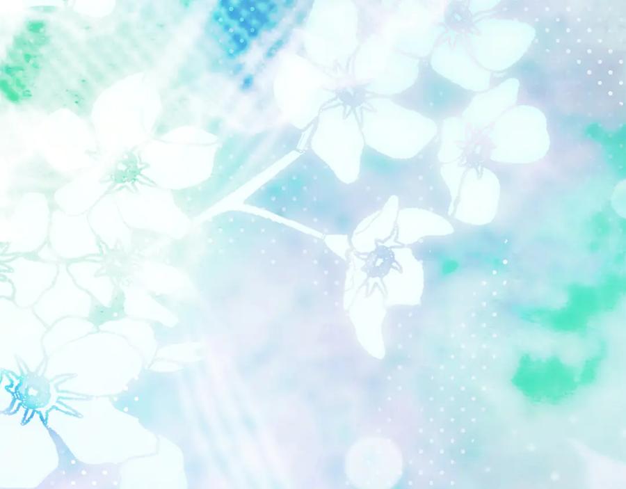 第216页