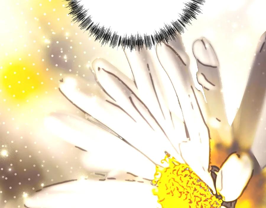 第238页
