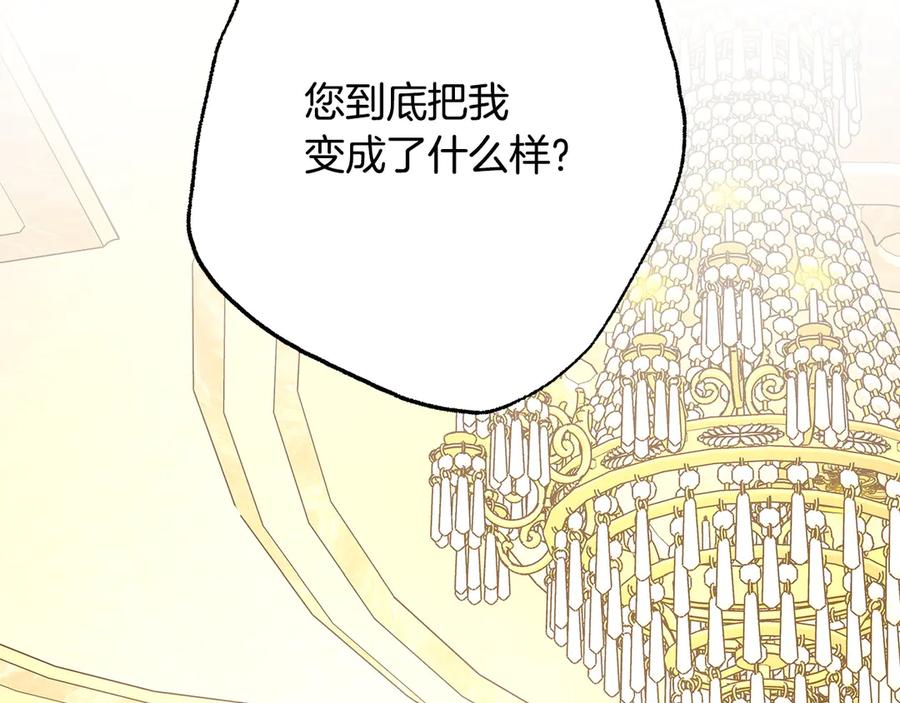 第244页