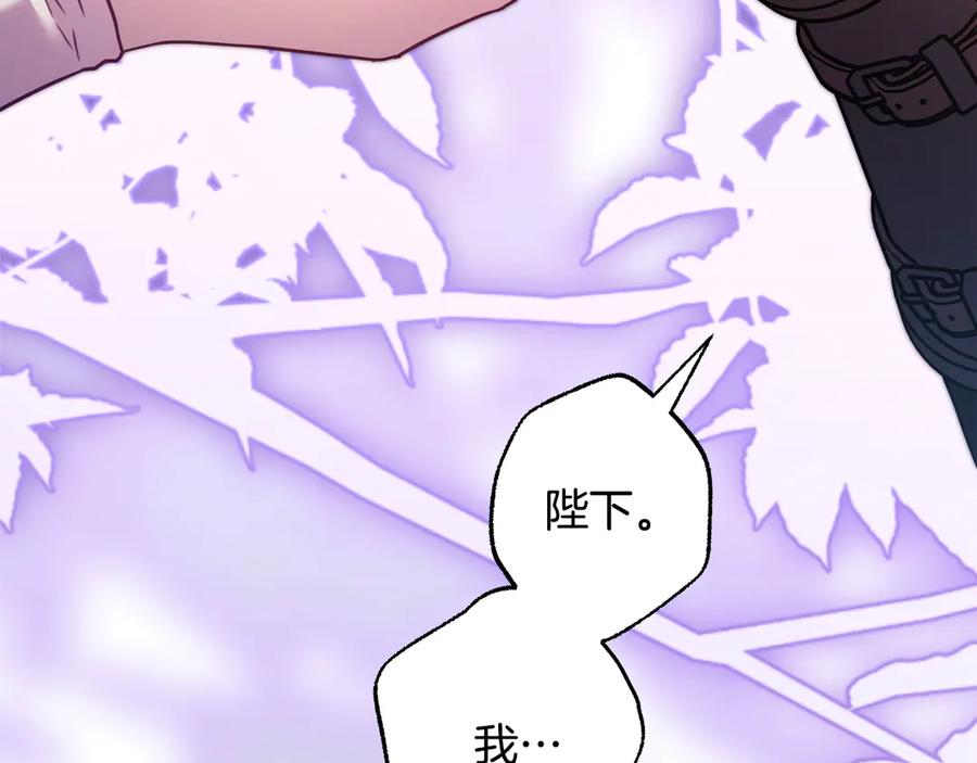 第264页