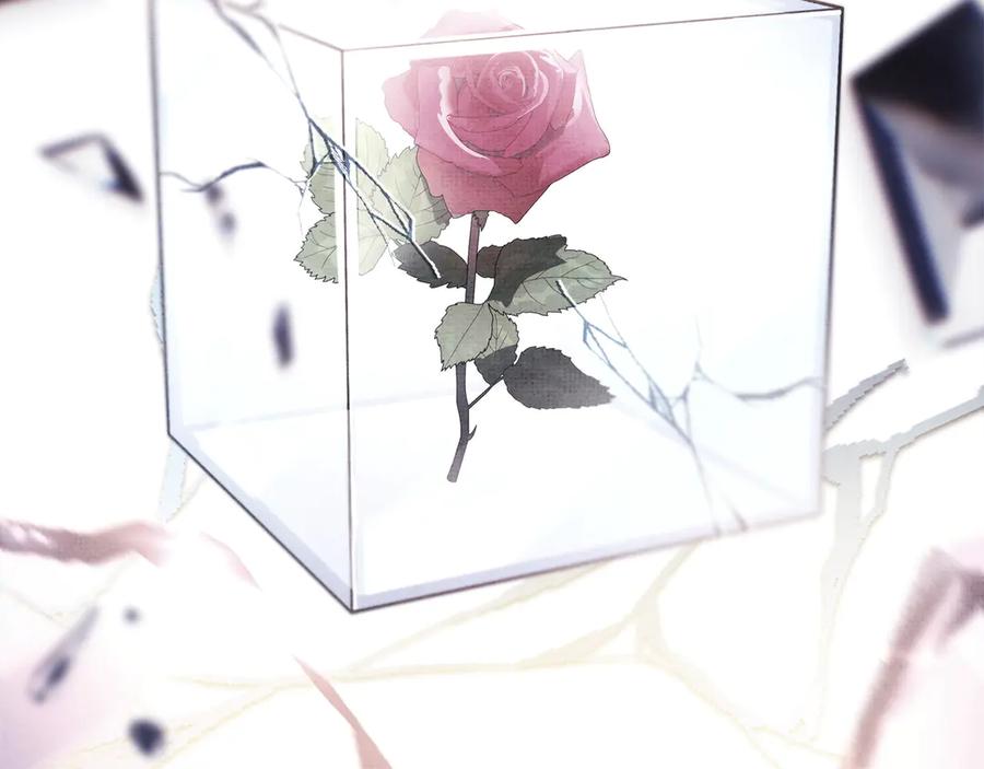 第288页