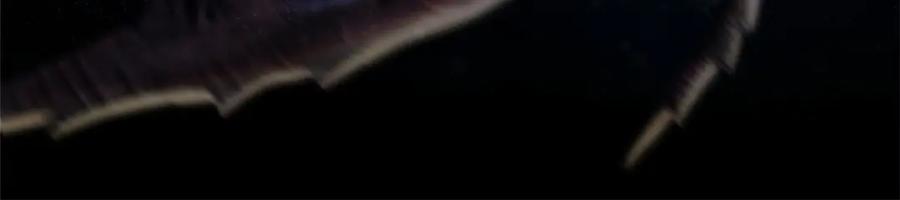 第296页