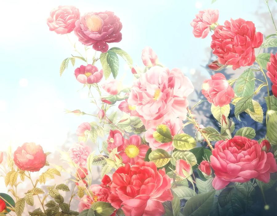 第179页