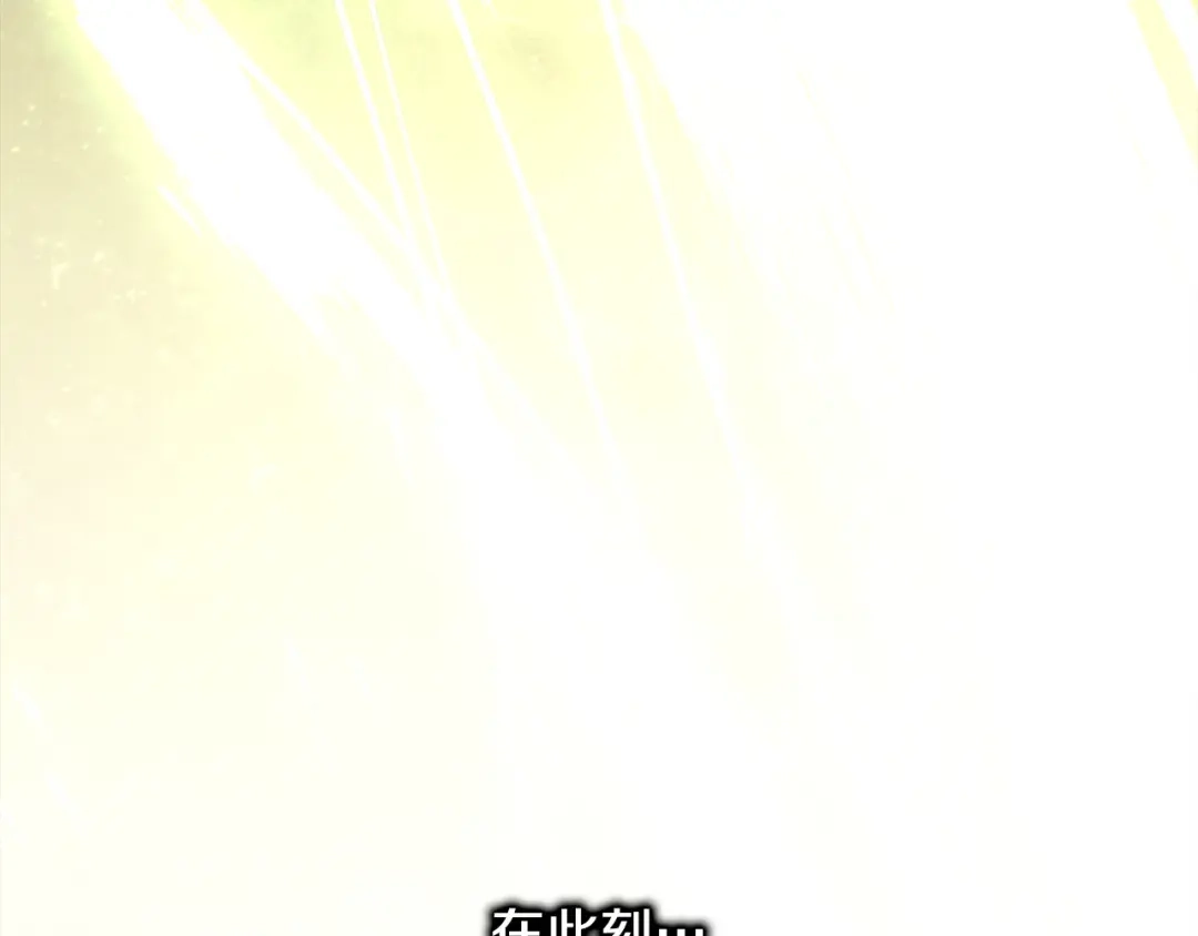 第211页