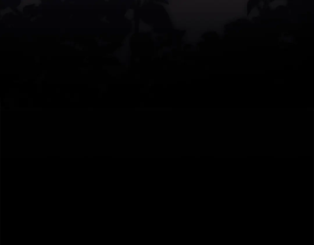 第230页