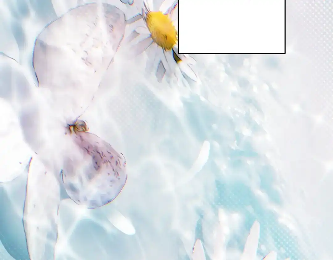 第214页