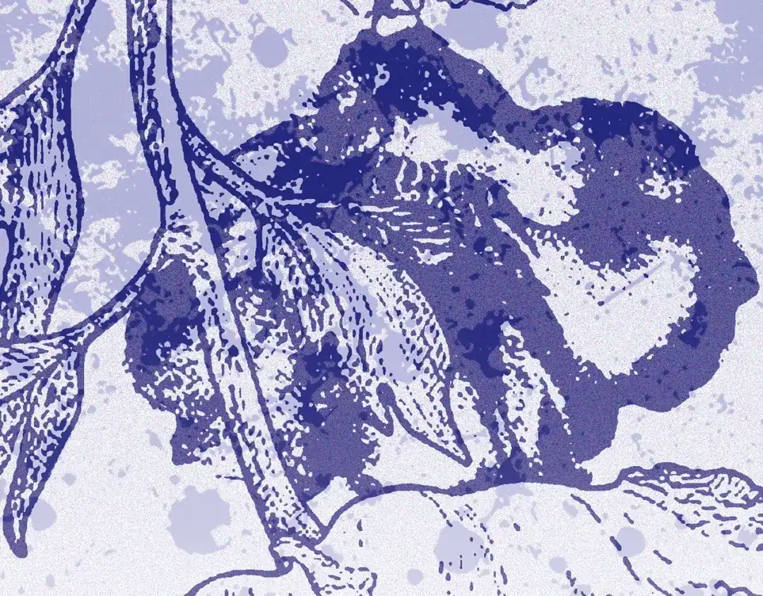 第212页