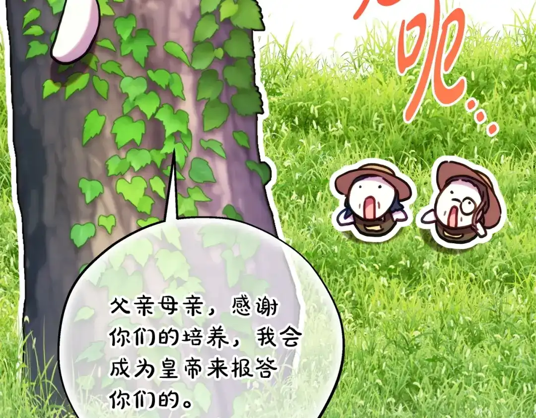 第247页