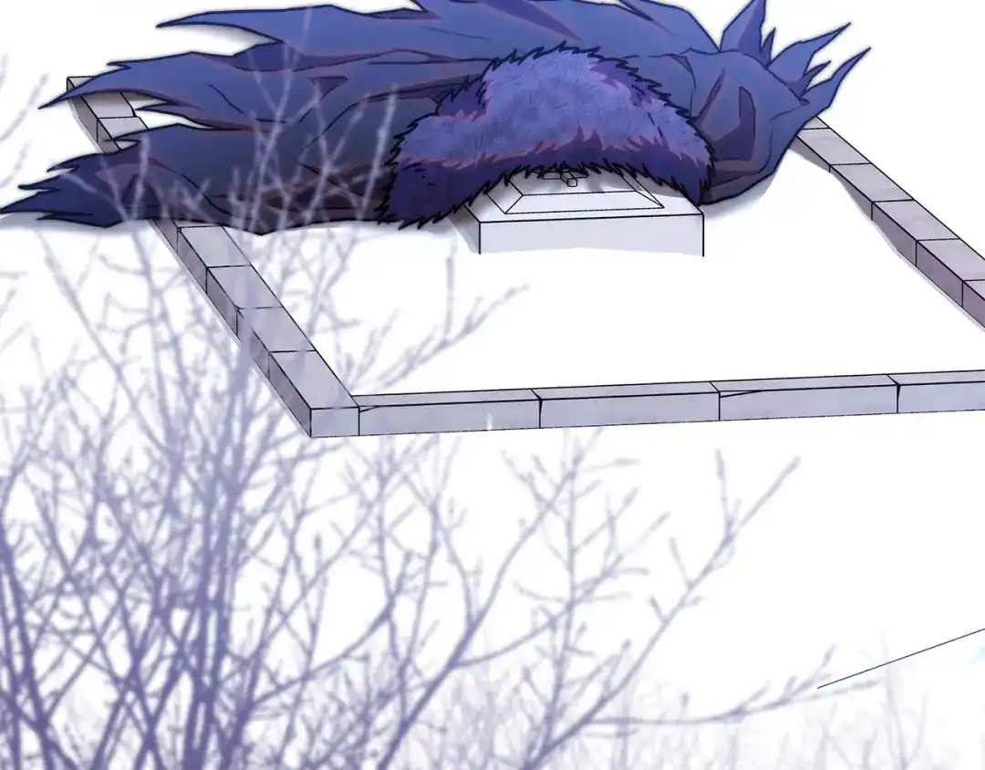 第215页