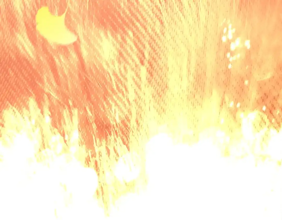 第233页