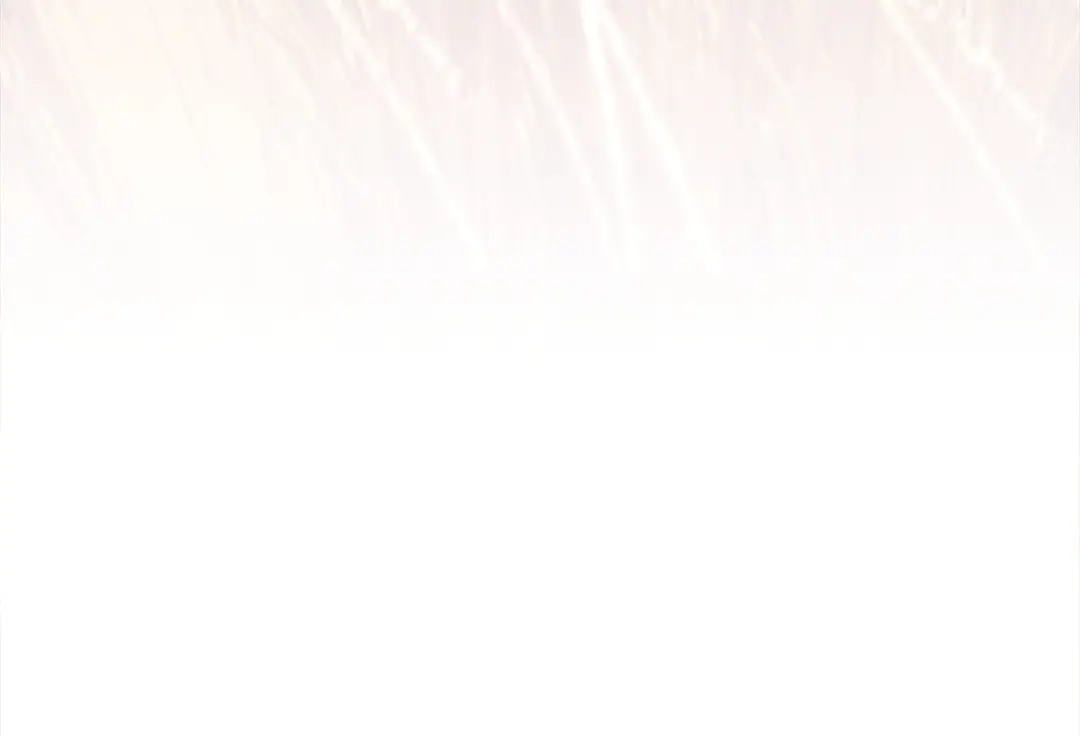 第237页