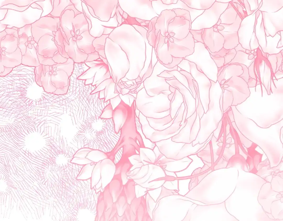 第207页