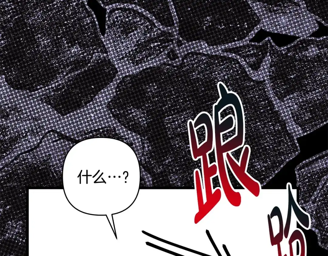 第224页
