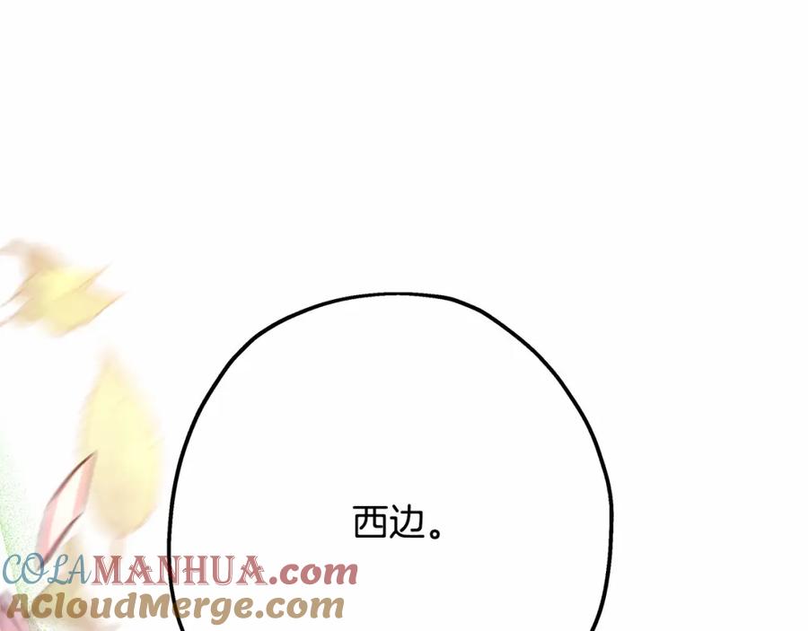 第221页
