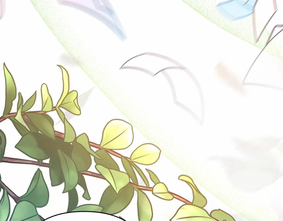 第223页