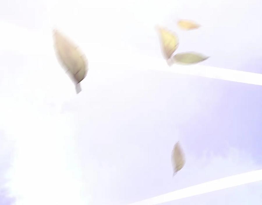 第234页