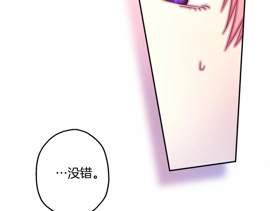 第204页