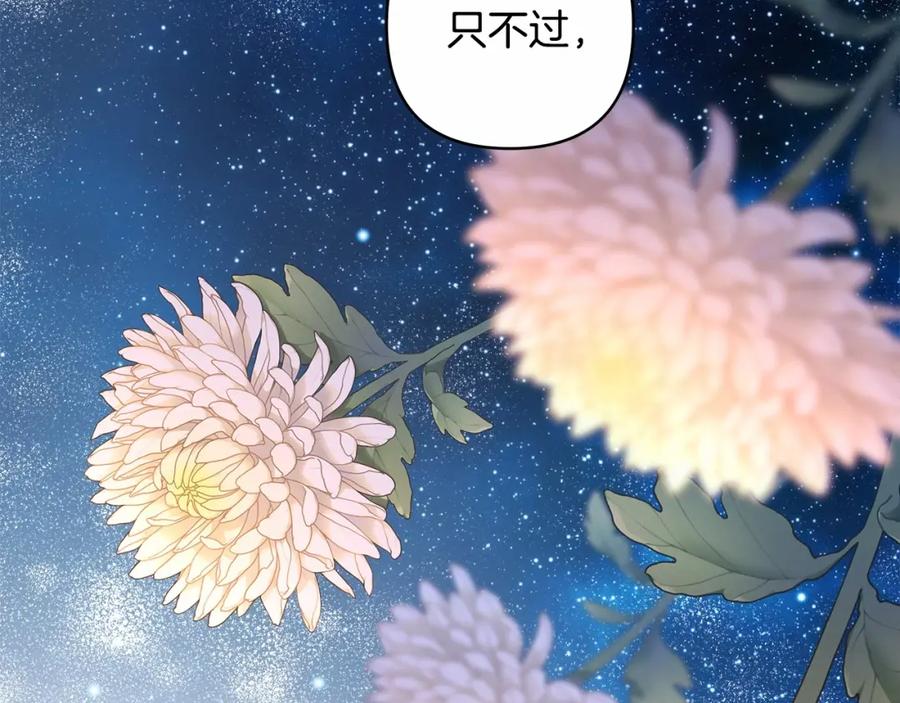 第247页
