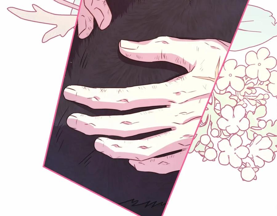 第255页