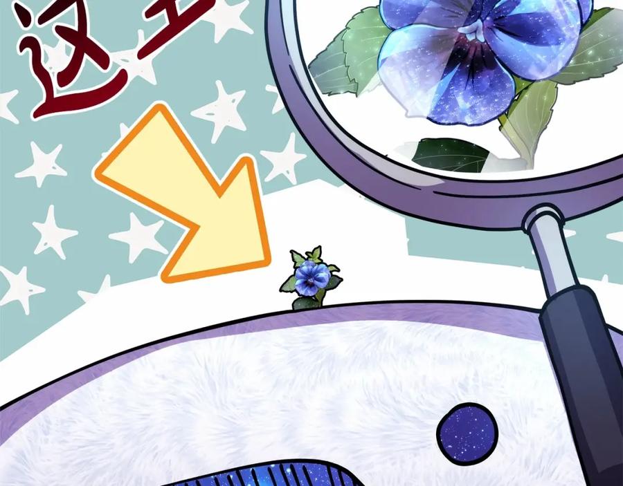 第202页
