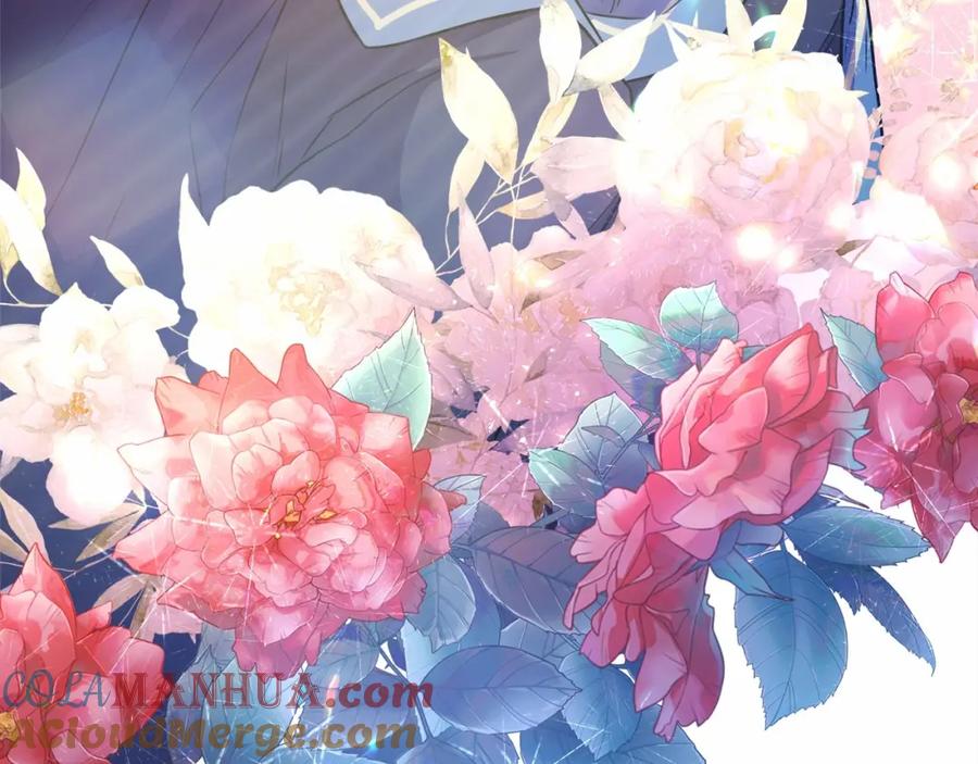 第233页