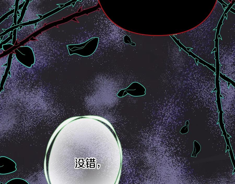 第251页