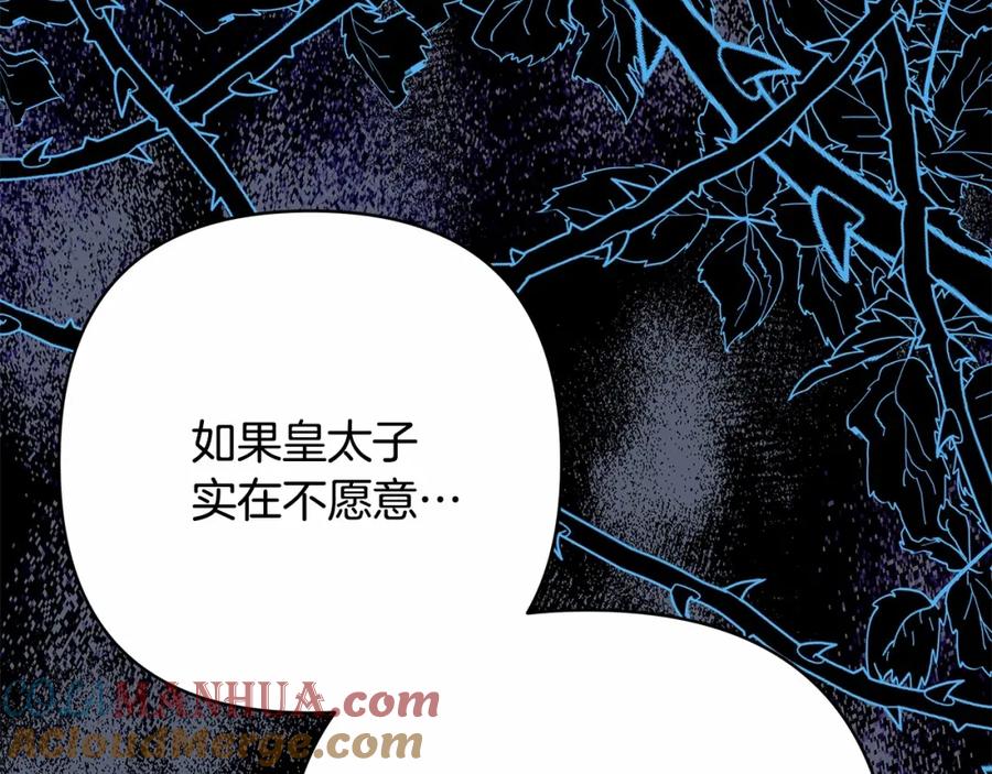 第241页