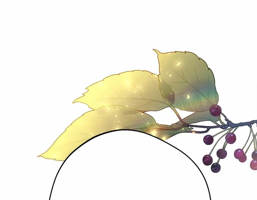 第232页