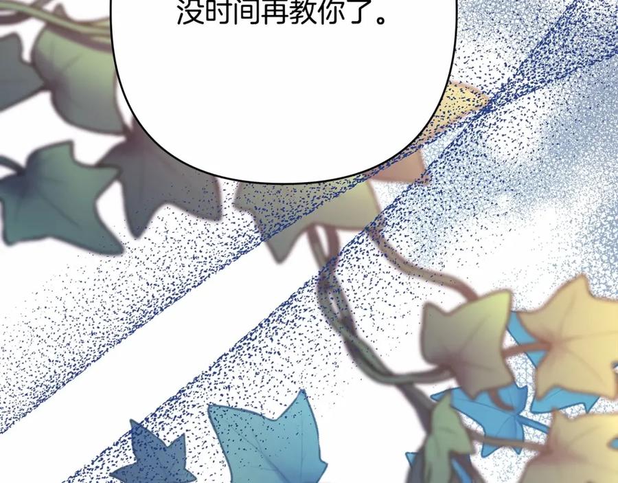第243页
