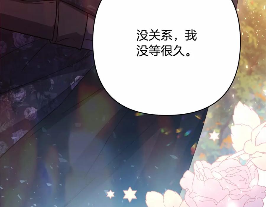 第258页