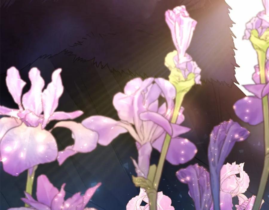 第271页