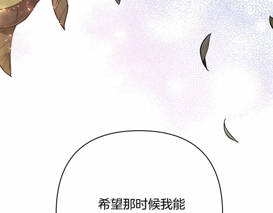 第282页