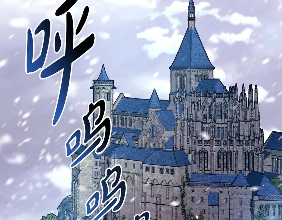 第223页