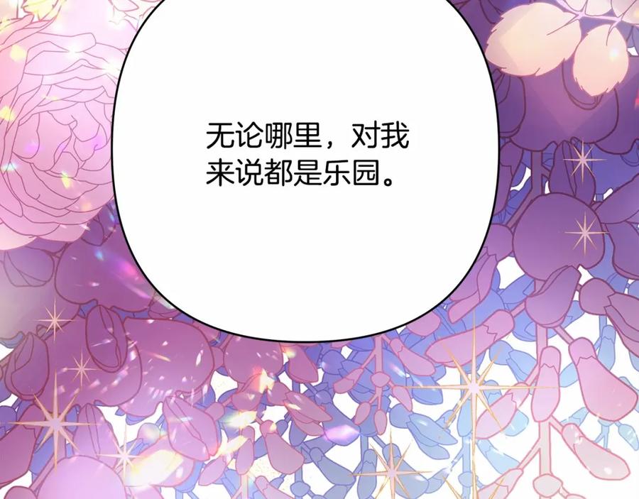 第242页