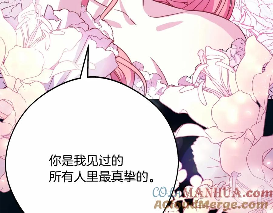 第253页