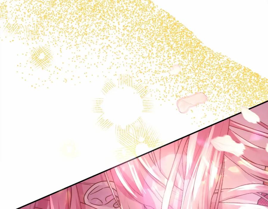 第251页